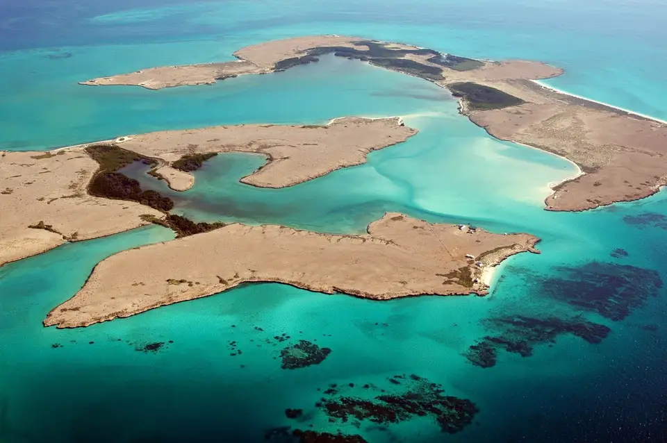 Eaux turquoise peu profondes et récif corallien au large de l'île Moucha